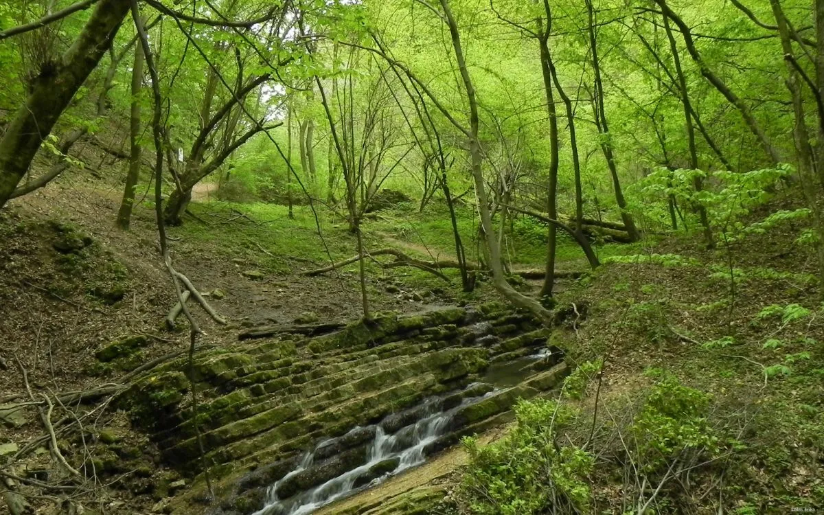 Látnivalók Óbányán - Óbányai-völgy, számos természeti csoda helyszíne