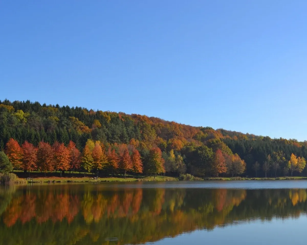 A festői Hársas-tó partján vezető tanösvény az Őrségben