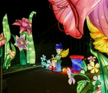 Garden of Lights: Pán Péter kiállítás 2025-2026 – ELTE Füvészkert Budapest