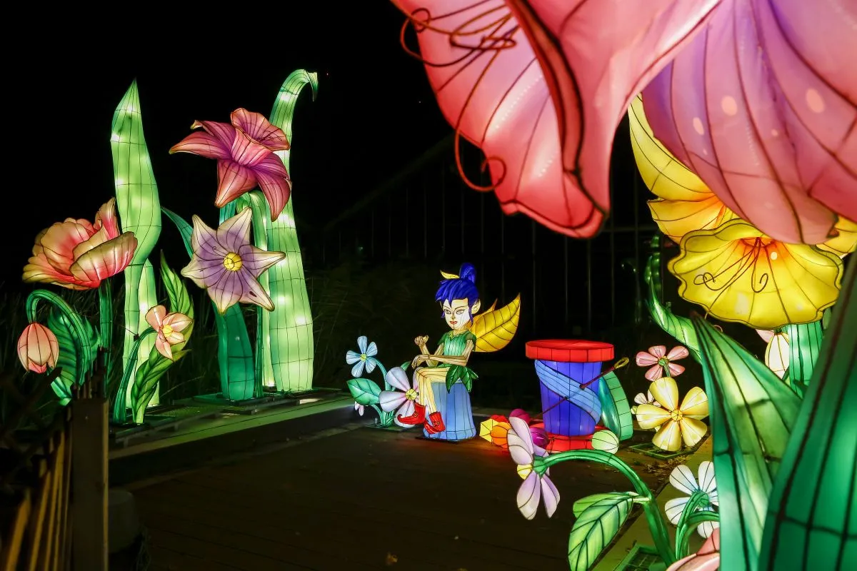 Fotó: Ambrus Marcsi / Garden of Lights Budapest
