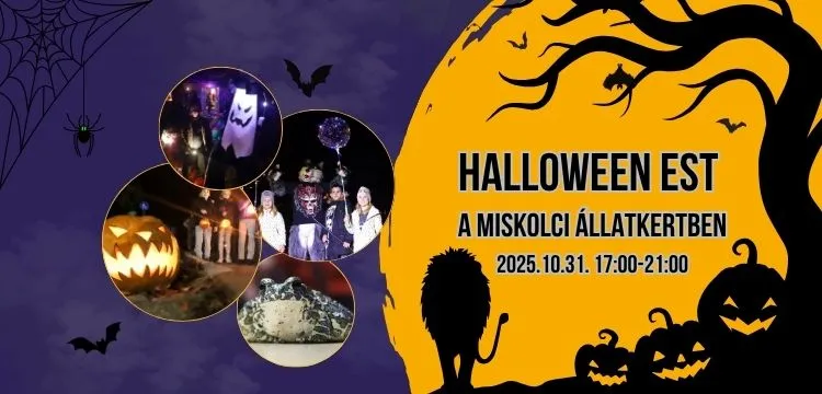 Fotó: Halloween-est a Miskolci Állatkertben Facebook-esemény