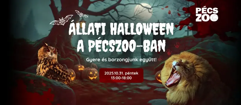Fotó: Állati Halloween a PécsZoo-ban Facebook-esemény