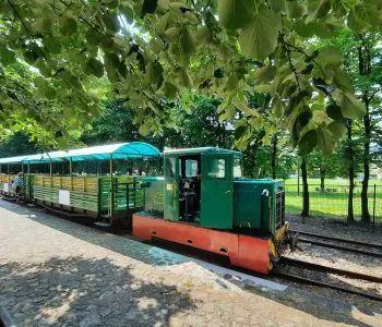Erdei kisvonatozás a hulló falevelek alatt
