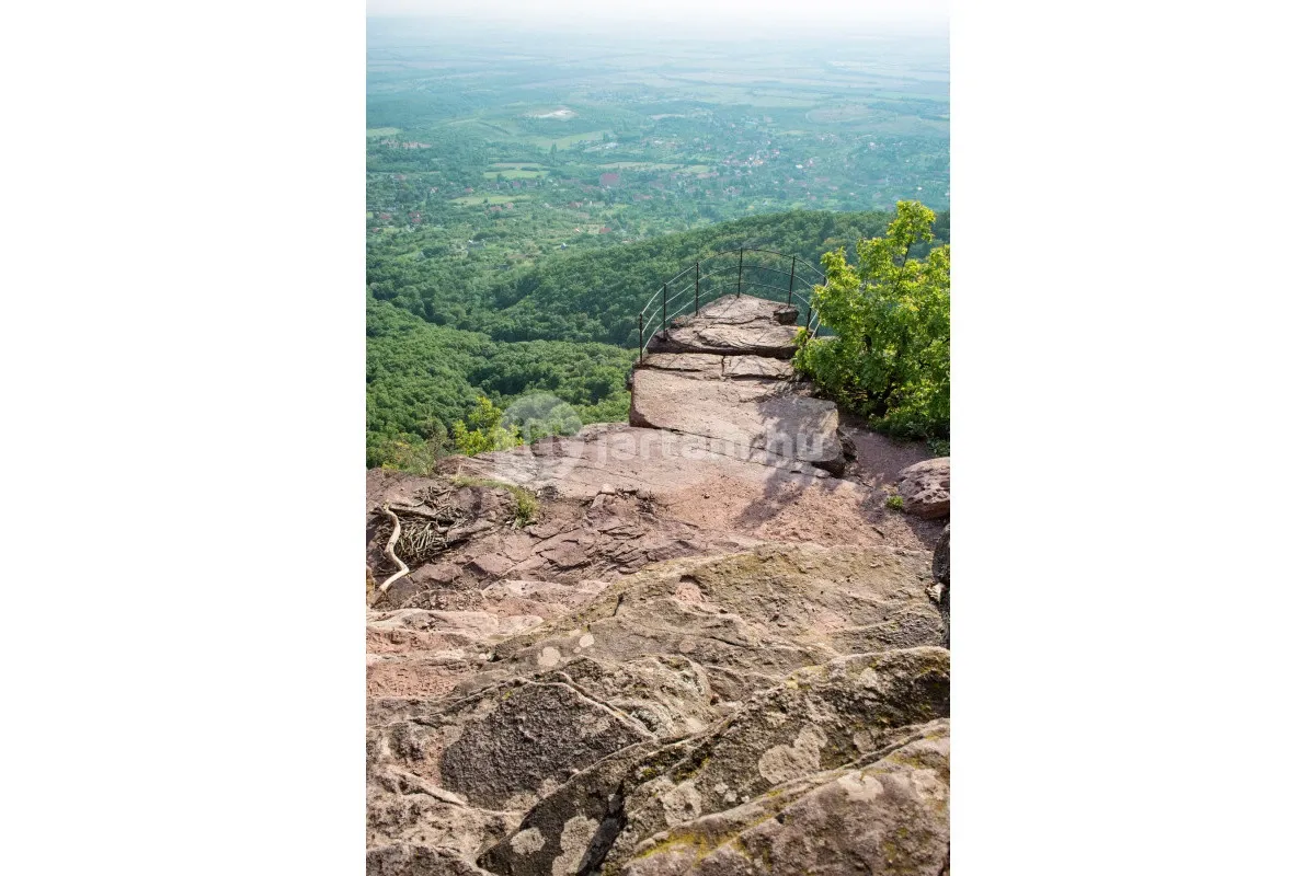 Örök emléket ígér a Mecsekben a Zsongor-kő kiszögellésének felkeresése