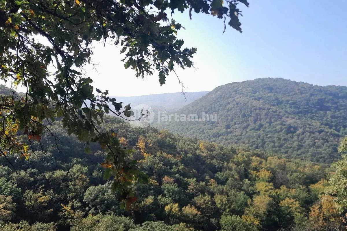 A Dunakanyar fölött kanyarog a csodaszép panorámát kínáló Spartacus-ösvény Visegrádon