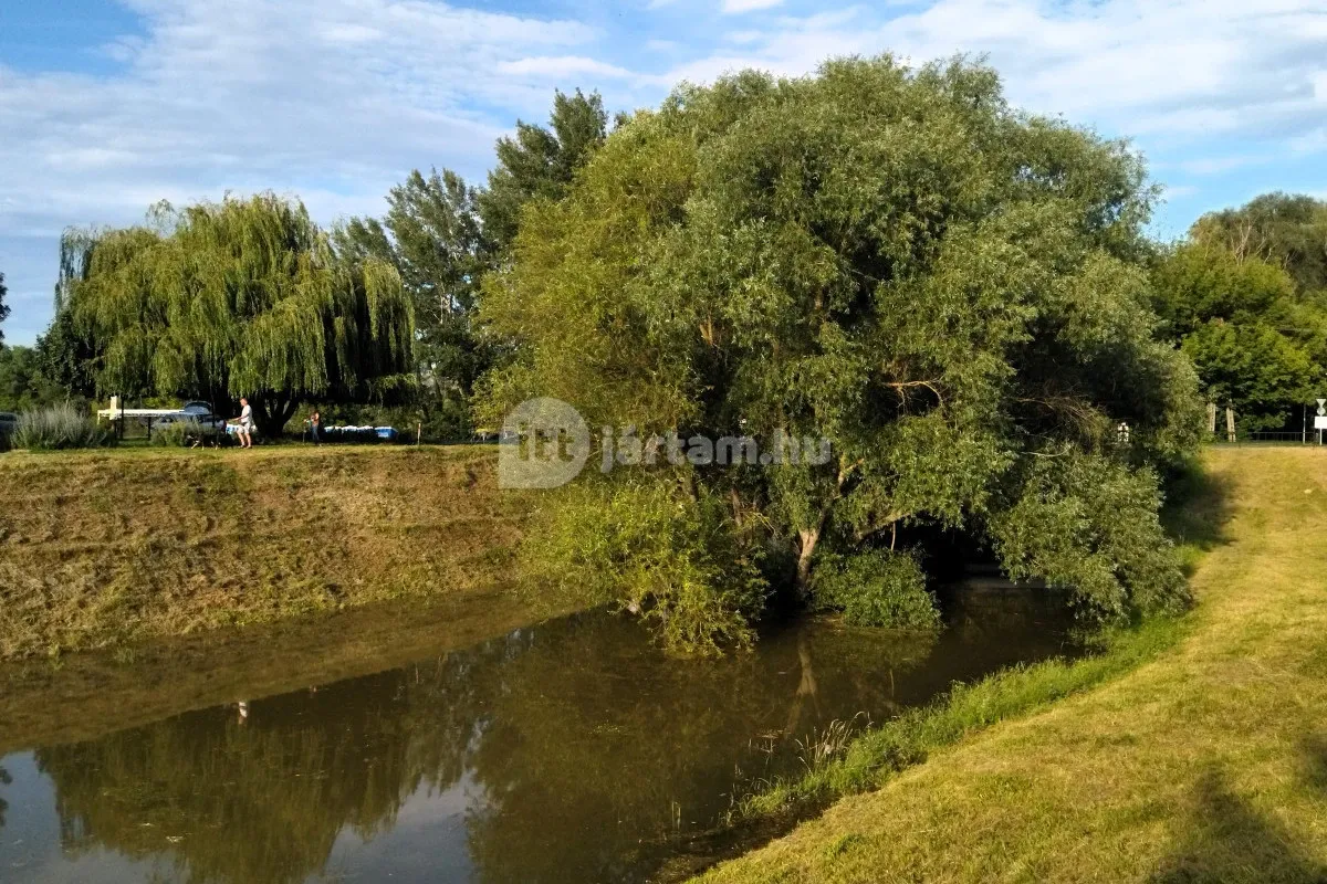 A szentendrei Bükkös-patak tanösvény nem messze a város központjától indul