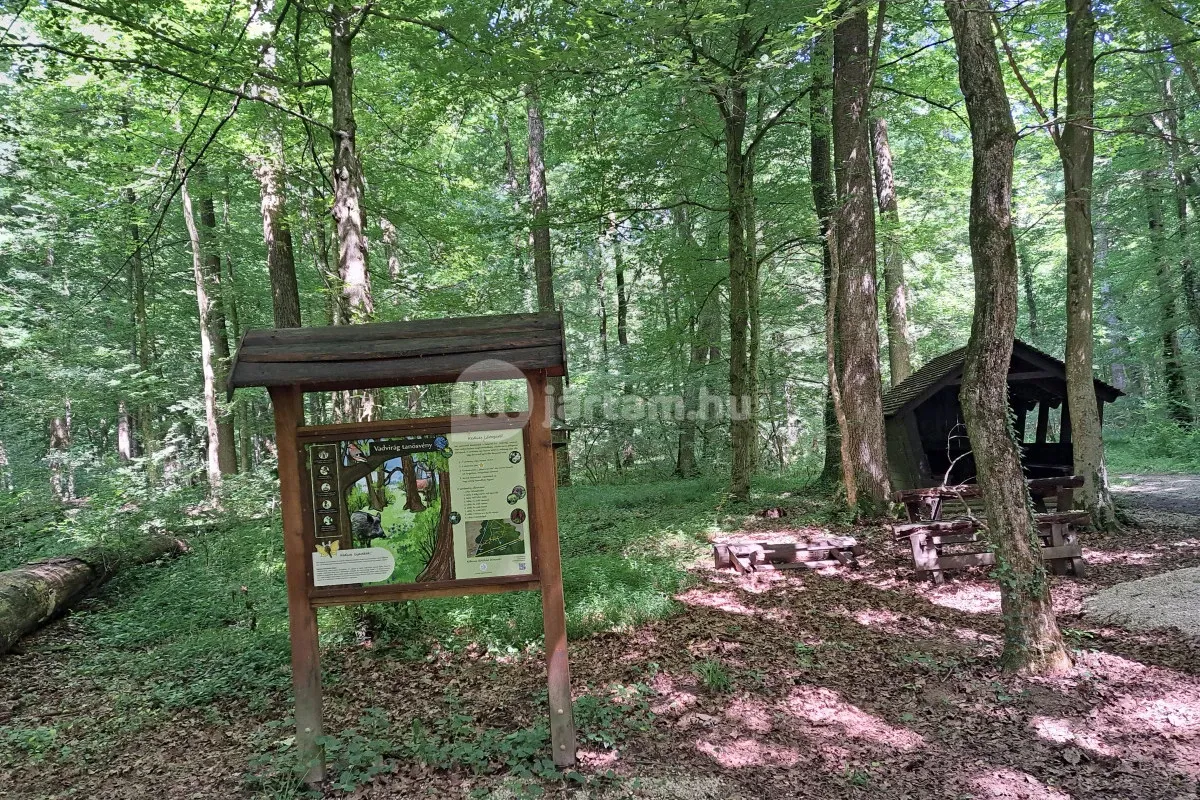 A Vadvirág tanösvény a Zalai-dombság legbékésebb zugába vezet