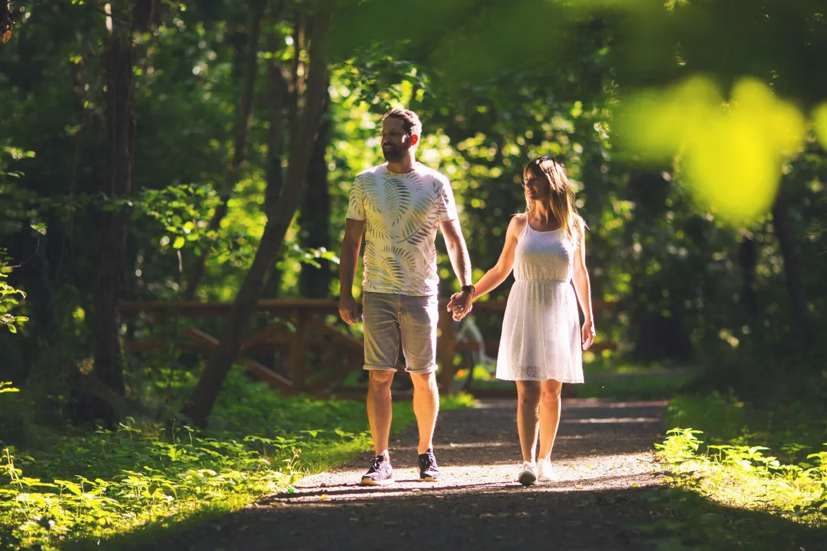 A pallókon futó hévízi Tavirózsa tanösvény egyedülálló vízi világba kalauzol