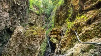 Telefon kikapcsolva, természet bekapcsolva – 7 magyarországi térség, ahol telefoncsengés helyett csak madárcsicsergést hallunk