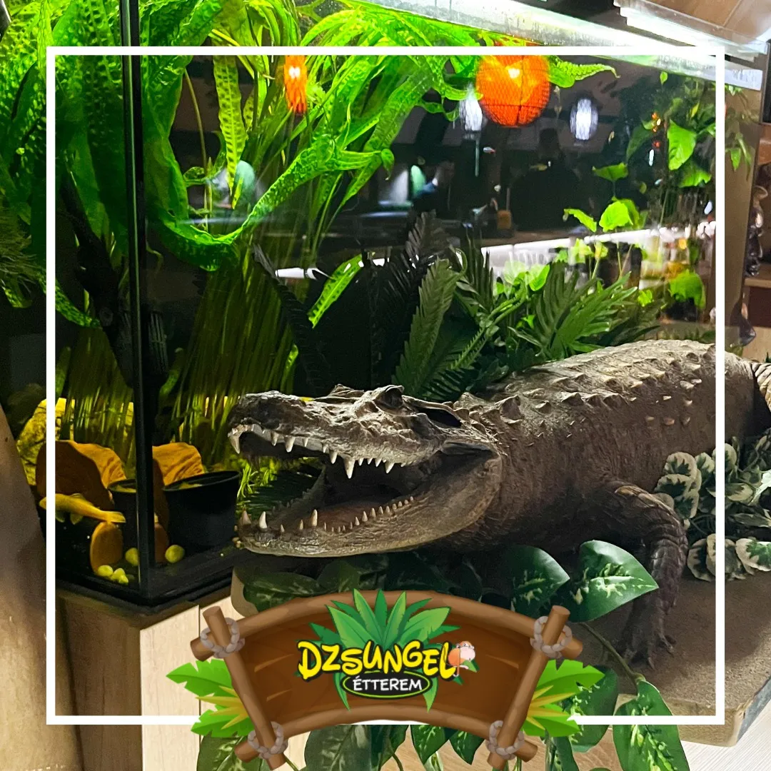 Fotó: Dzsungel Étterem Facebook-oldala