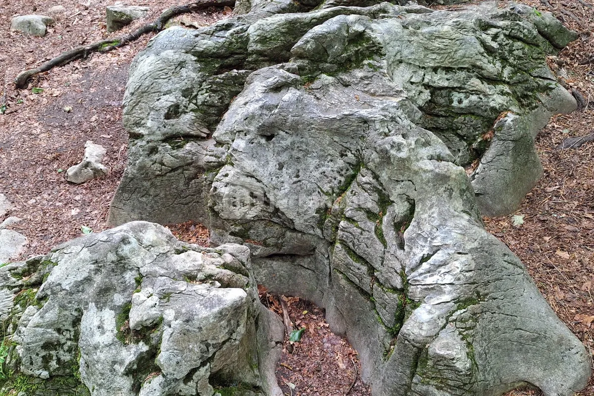 Bükkszentkereszt legfőbb vonzereje a Gyógyító Kövekben rejlik