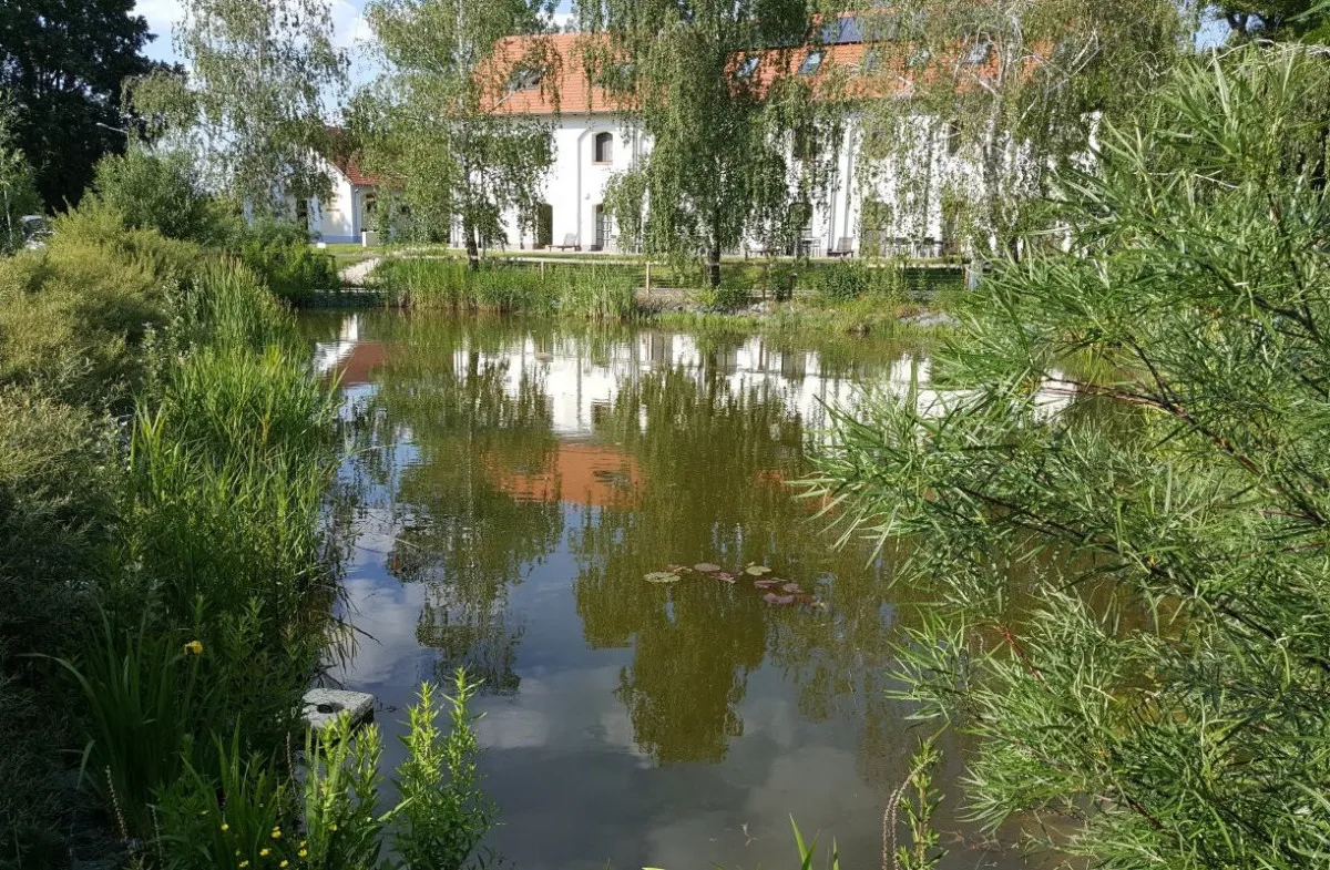 Vidéki portán kényeztet minket a Vadkert Major Sárvár