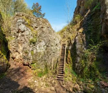 A Dunakanyar sziklabirodalmától Úrkút dzsungeléig