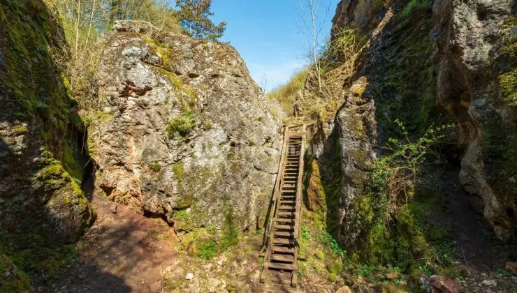 A Dunakanyar sziklabirodalmától Úrkút dzsungeléig
