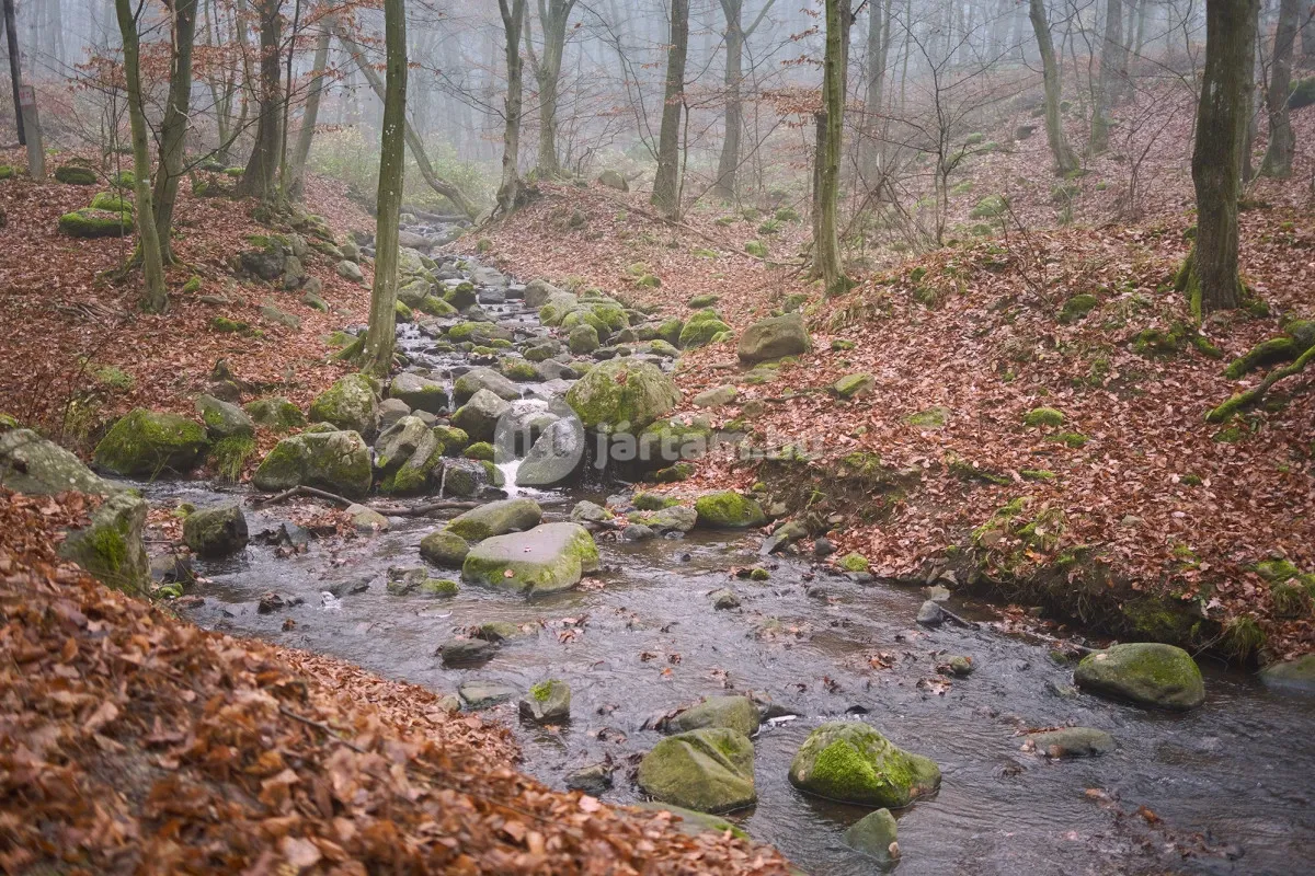 Kallók-völgye, a Mátra egyik legkeresettebb túrahelyszíne