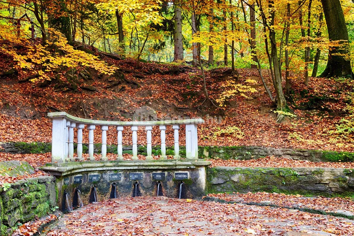 Kőszegen a Hétforrás vizének egyetlen kortyától szerelembe eshetünk