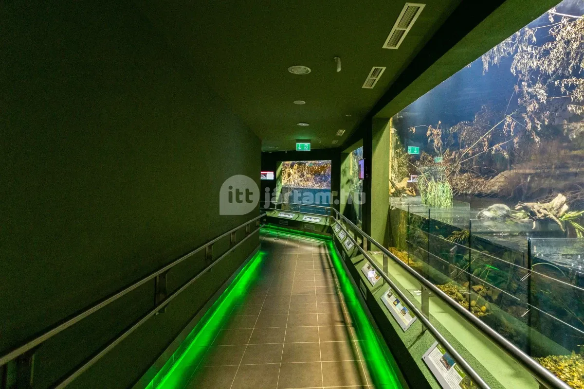 A tó varázslatos növény- és állatvilágának felfedezéséhez tökéletes kiindulópont a Tisza-tavi Ökocentrum Poroszlón