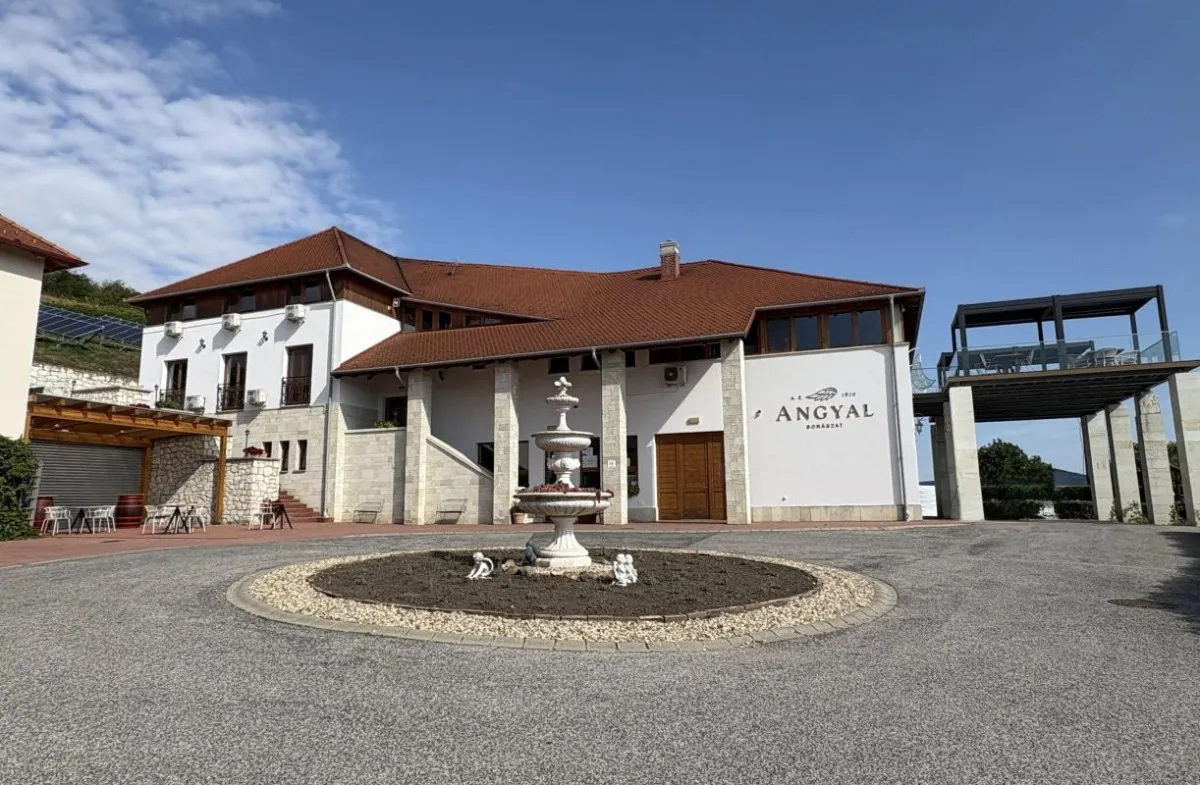 10 kg-ig kutyusunkat és cicánkat is várják Rátkán az Angyal Borászatban