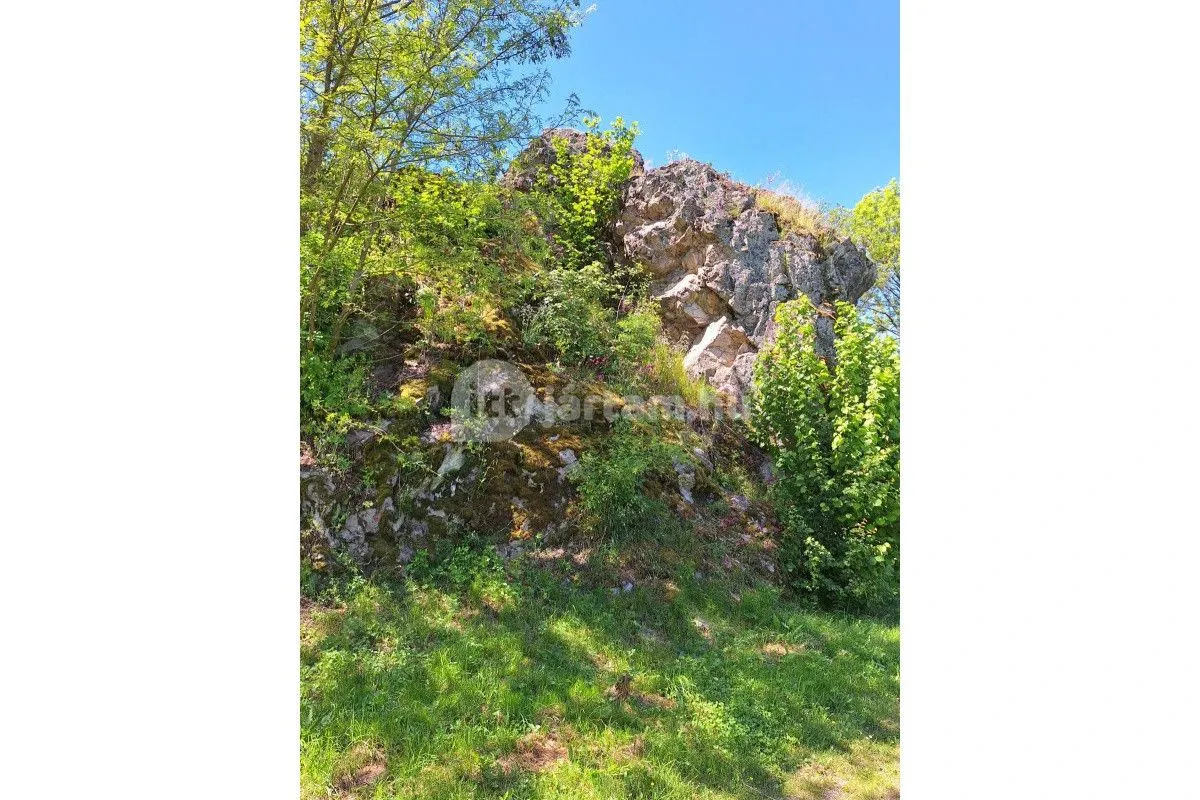 A Zemplén egyik legkülönlegesebb természeti értéke a Bózsvai-szikla