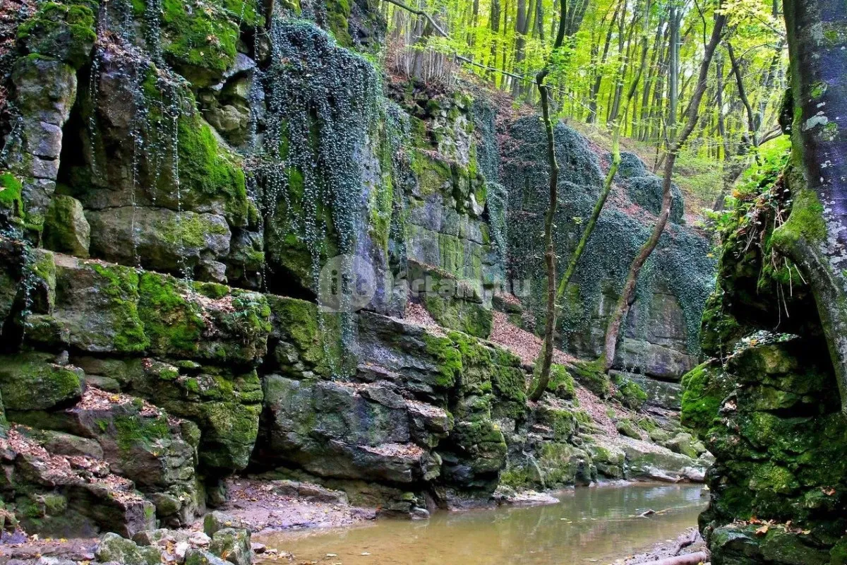 A Magas-Bakony Tájvédelmi Körzet magasodó csúcsokkal, érintetlen erdőkkel mutatja a hegység legszebb arcát