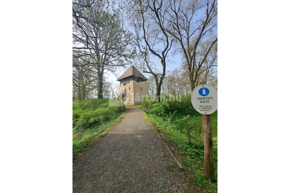 A Szigeterdő egy békés, nyugodt kirándulóhely, pihentető sétára alkalmas