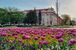 Tavaszi városlátogatás Magyarországon: Kőszeg, Eger, Gyula és még 3 hangulatos úti cél