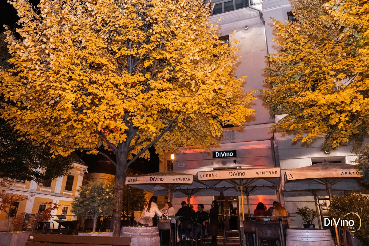 Natúr bor válogatás Széchenyi tér / Fotó: DiVino Győr Facebook-oldala