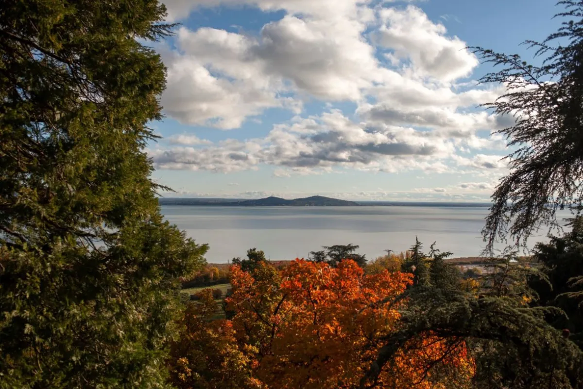 Badacsonytomaj legfőbb látványossága a kilátót és játszóteret is rejtő Folly Arborétum