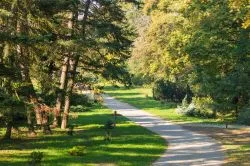 Titkos édenkertek Magyarországon – Melyikben jártál már?