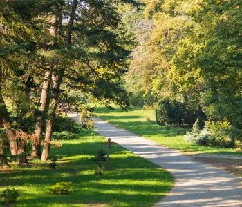 Titkos édenkertek Magyarországon – Melyikben jártál már?