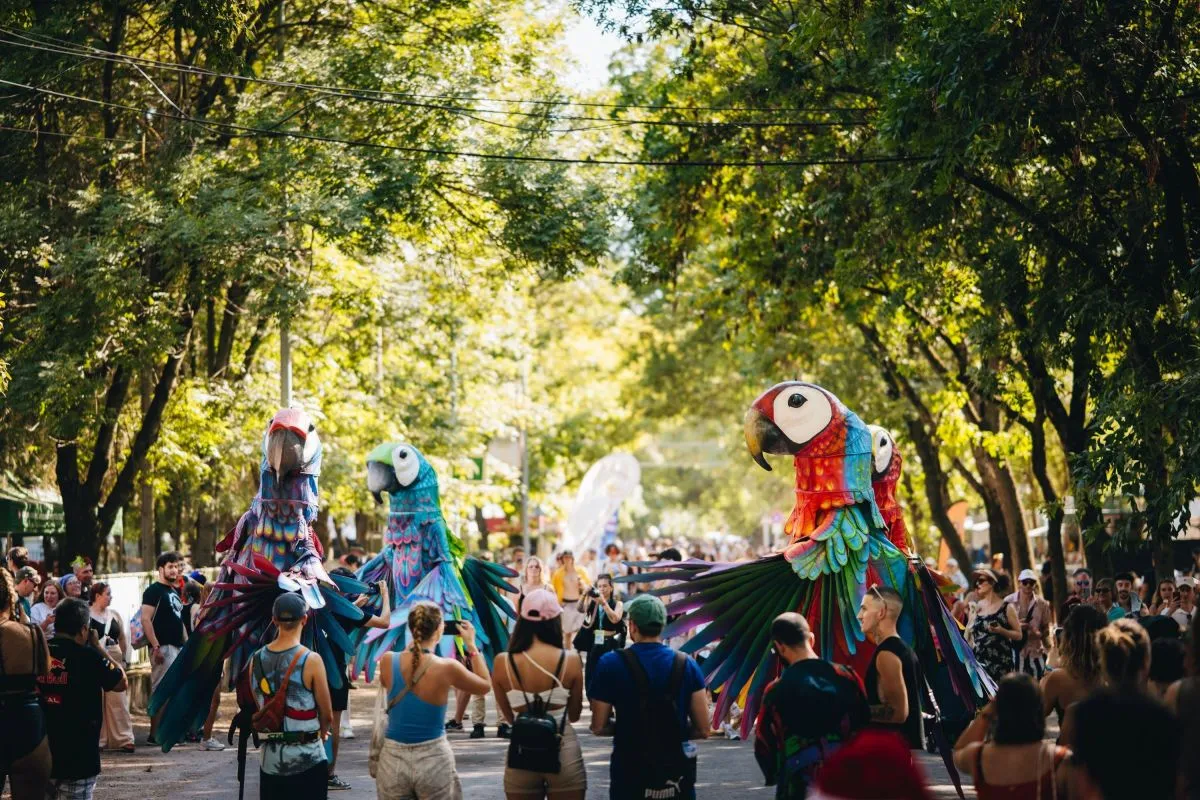 SZIGET Fesztivál 2026 - 2026. augusztus 11-15.