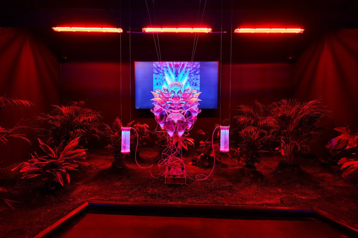 Fotó: Light Art Museum Budapest Facebook-oldala