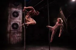 Ne csak nézd, éld is át! – különleges, immerzív kiállítások Budapesten és környékén