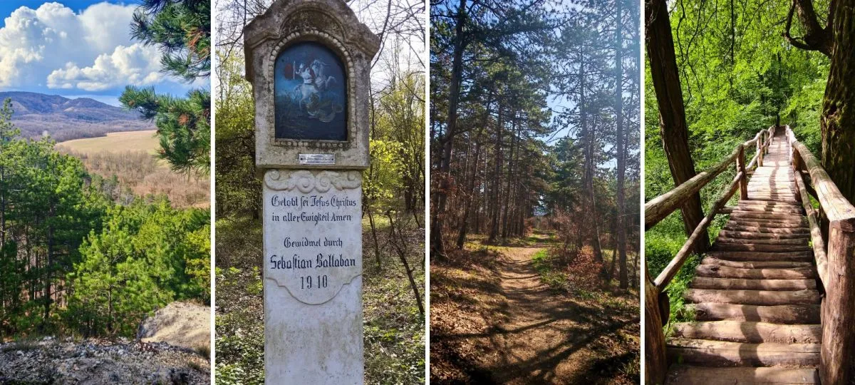 A Jági tanösvény 4 km-es körtúrája gyerekekkel, babakocsival is bejárható