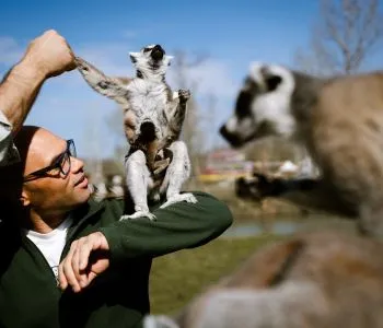 Babyboom a Richter Safari Parkban - húsvétkor mutatkoznak be a park legifjabb lakói