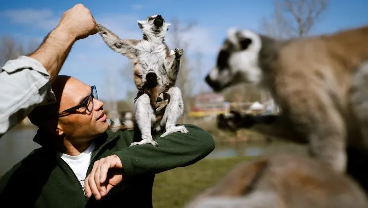 Babyboom a Richter Safari Parkban - húsvétkor mutatkoznak be a park legifjabb lakói