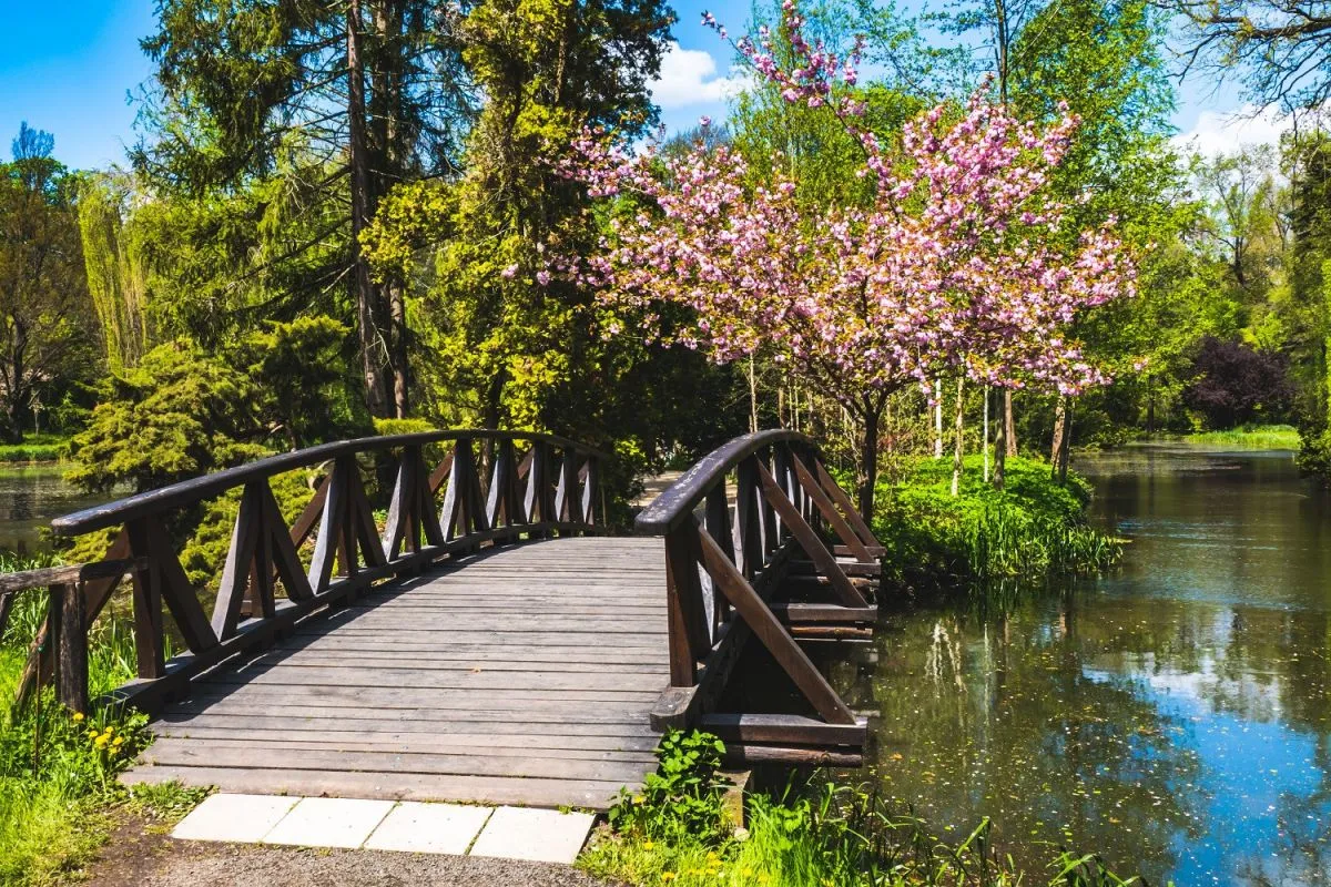 A Vácrátóti Arborétum több mint 13 ezer növényfajjal, romantikus tavakkal és hidakkal egy valódi zöld oázis
