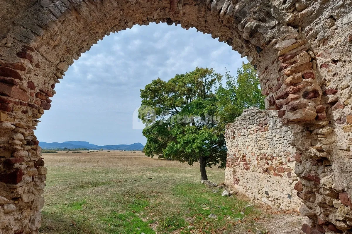 Kővágóörsön a Sóstókáli templomromnál a természet vette vissza az épített teret
