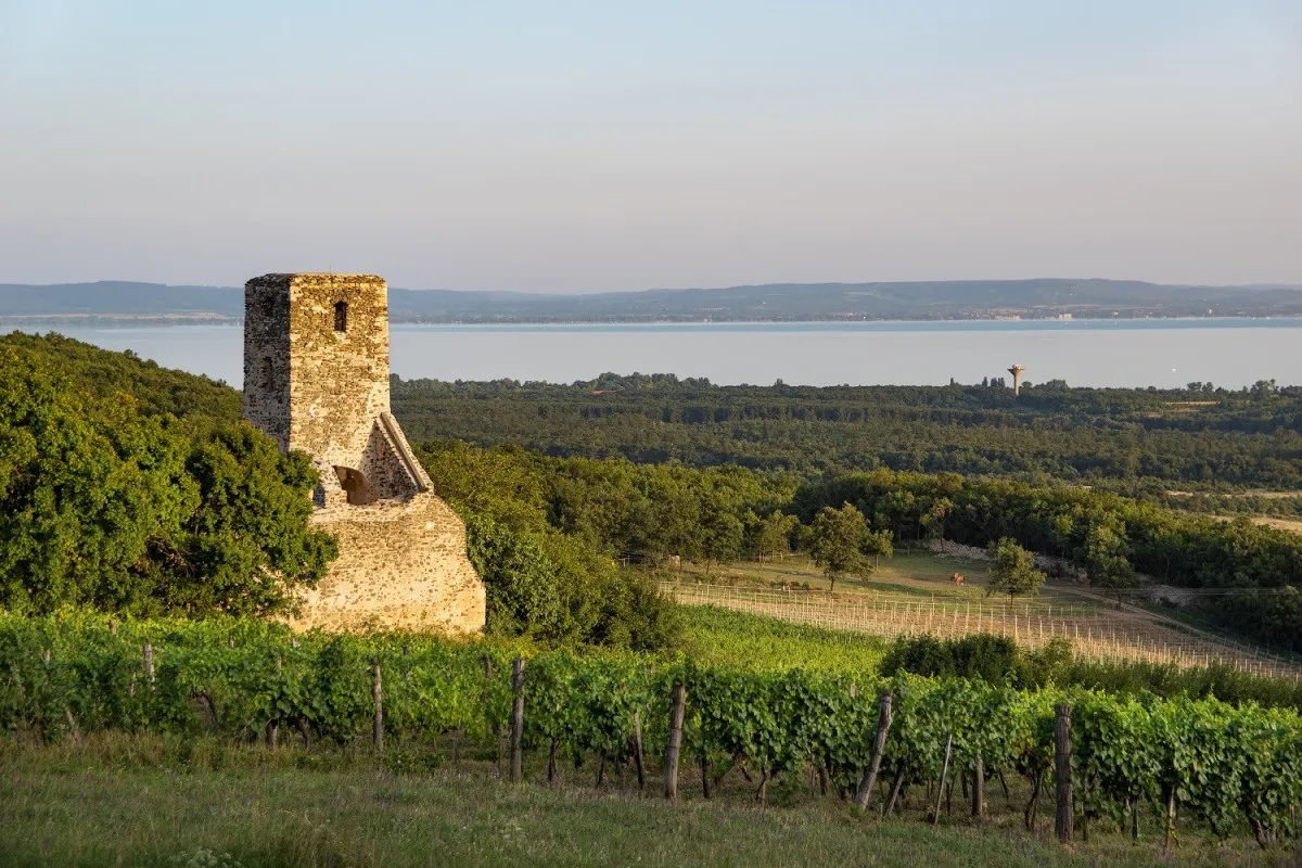 A Szentantalfán álló Szent Balázs-templomrom szőlőültetvények közötti romantikája szinte tapintható
