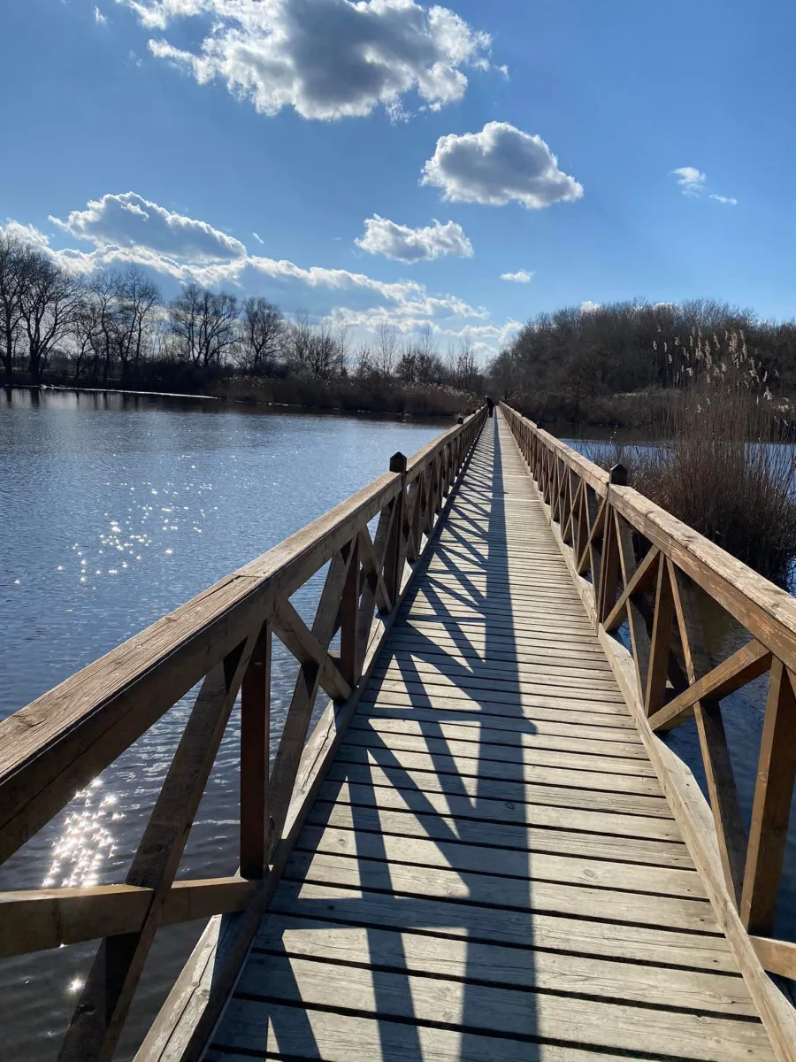 A tiszalöki Kis-Tisza Ökocentrum belépő a természet birodalmába/ Fotó: Kis-Tisza Ökocentrum Facebook oldala