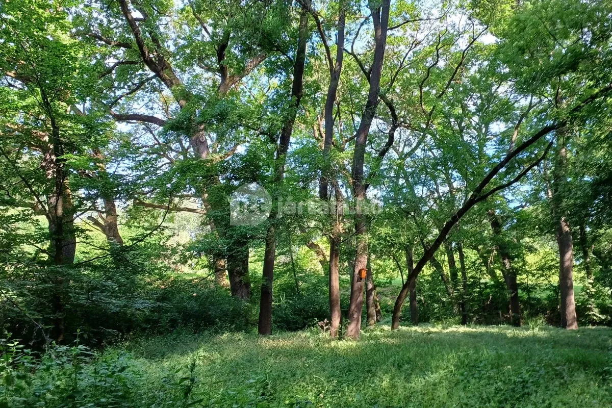 A tiszakürti Arborétum 60 hektáros területét információs táblák segítségével ismerheted meg