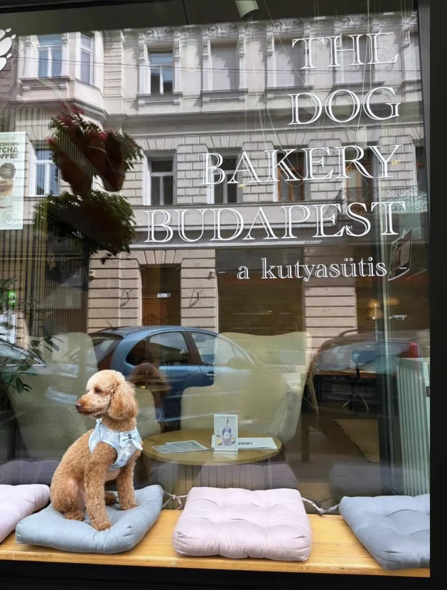A The Dog Bakery Budapest Magyarország első olyan péksége, ahol a hagyományos sütik mellett kutyák számára készített finomságok is kaphatók / Fotó: The Dog Bakery Budapest Facebook-oldal