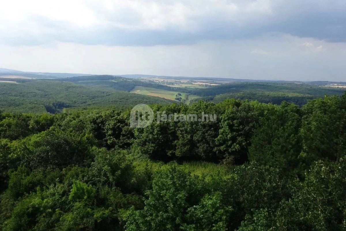 Az Eplényi Libegő a Bakony varázslatos hegyeinek varázslatos panorámáját tárja elétek