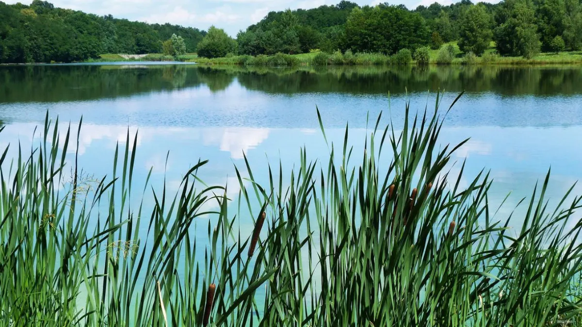 Hegyhátszentjakabon a Vadása-tó partján ücsörögve megszületik bennünk a tökéletes nyugalom