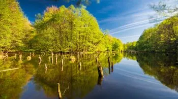 Erdők, szurdokok, panorámák: 3 bakonyi túra, amit kár lenne kihagyni