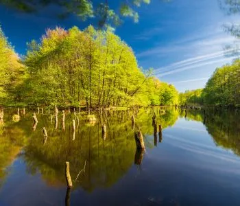 Erdők, szurdokok, panorámák: 3 bakonyi túra, amit kár lenne kihagyni