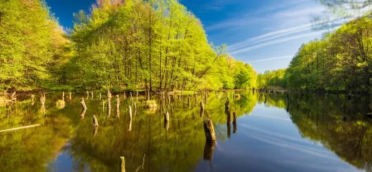 Erdők, szurdokok, panorámák: 3 bakonyi túra, amit kár lenne kihagyni