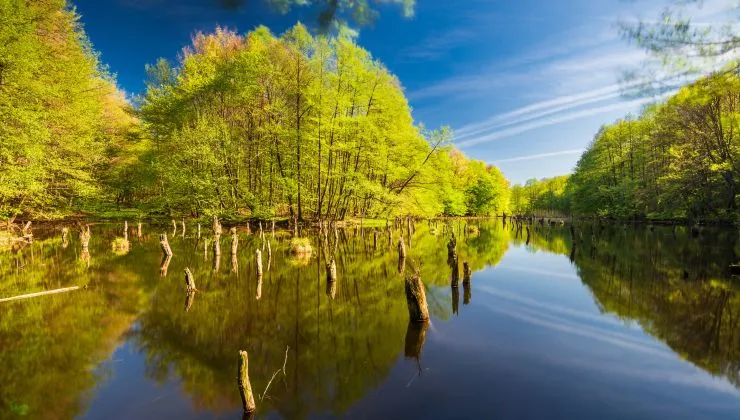 Erdők, szurdokok, panorámák: 3 bakonyi túra, amit kár lenne kihagyni