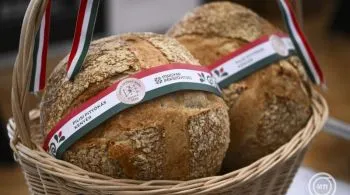 Idén a Bíborfehér lett Magyarország tortája, a Pilisi Pityókás pedig a Szent István-napi kenyér