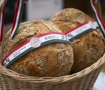Idén a Bíborfehér lett Magyarország tortája, a Pilisi Pityókás pedig a Szent István-napi kenyér